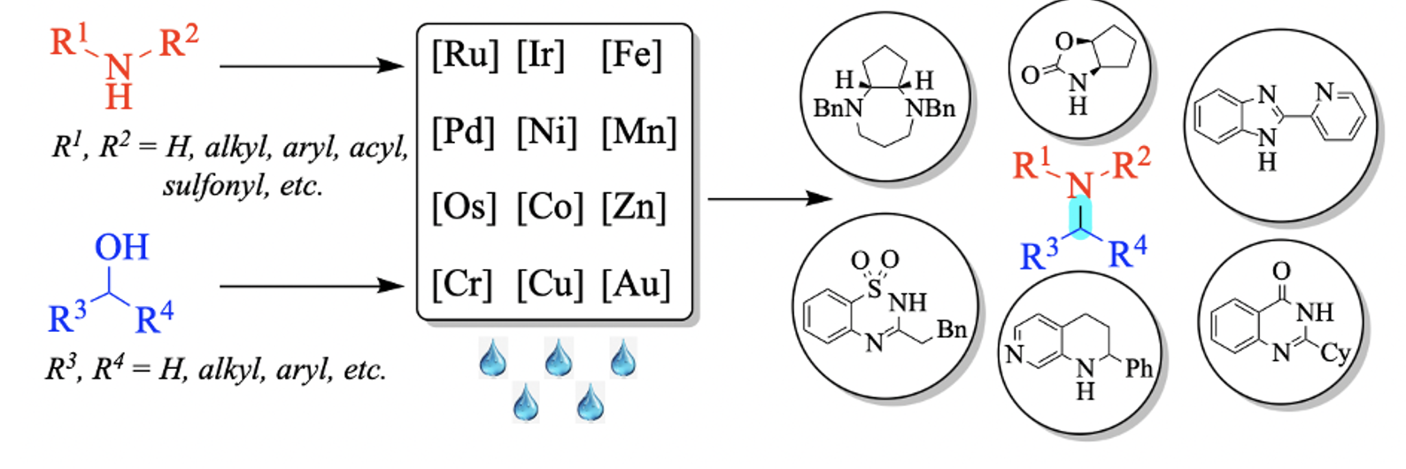 C–N Bond Formation Through Hydrogen Borrowing